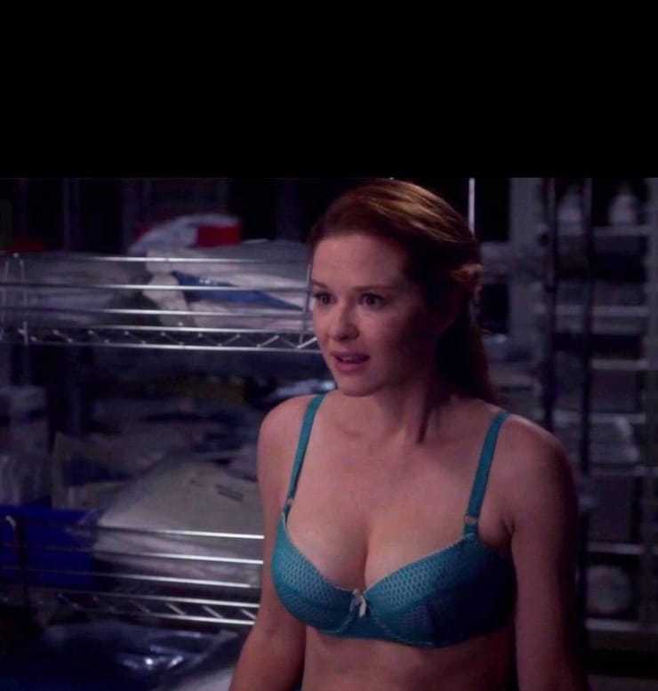 51 Sexy Sarah Drew Boobs Pictures Are A Genuine Masterpiece 4