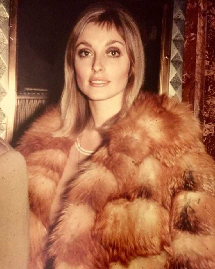 51 Hottest Sharon Tate Big Butt Pictures Are Windows Into Heaven 137