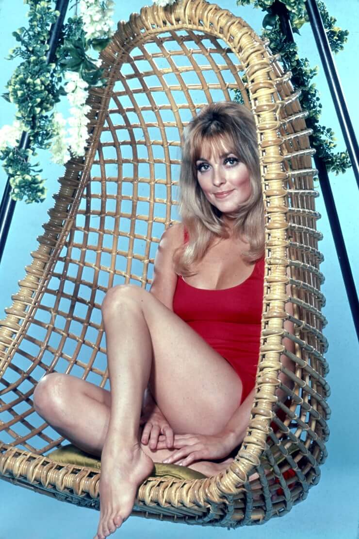 51 Hottest Sharon Tate Big Butt Pictures Are Windows Into Heaven 117