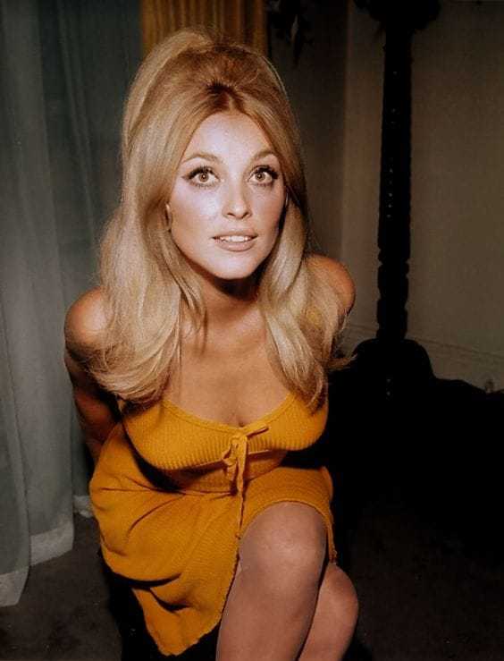 51 Hottest Sharon Tate Big Butt Pictures Are Windows Into Heaven 150