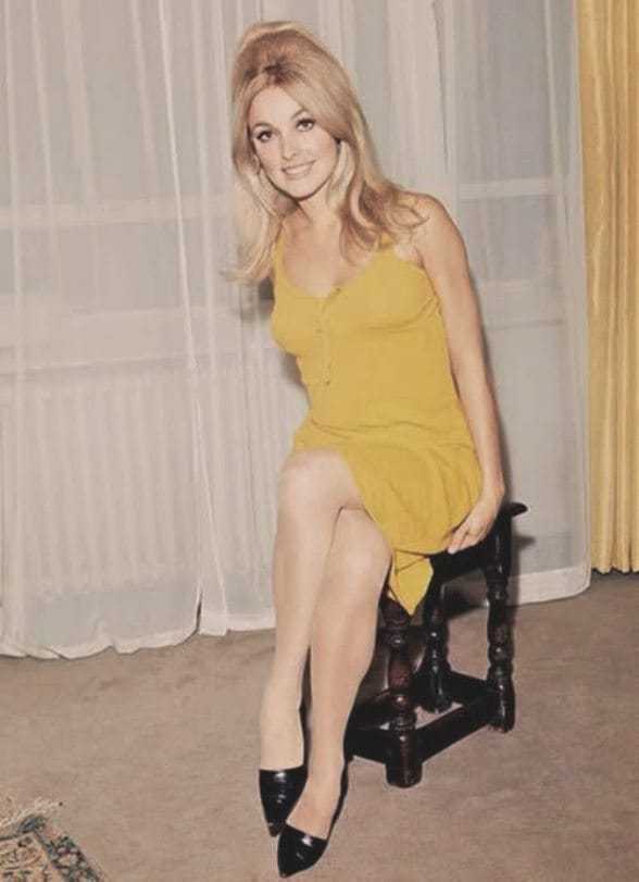 51 Hottest Sharon Tate Big Butt Pictures Are Windows Into Heaven 26