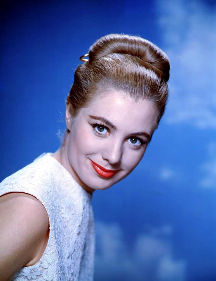 51 Sexy Shirley Jones Boobs Pictures Are Essentially Attractive 32
