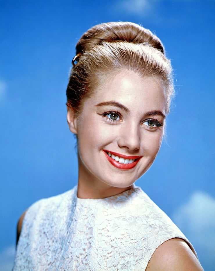 51 Sexy Shirley Jones Boobs Pictures Are Essentially Attractive 33