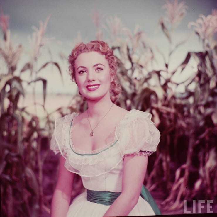 51 Sexy Shirley Jones Boobs Pictures Are Essentially Attractive 10