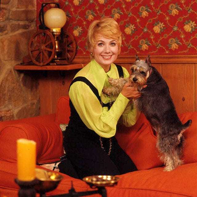 51 Sexy Shirley Jones Boobs Pictures Are Essentially Attractive 42
