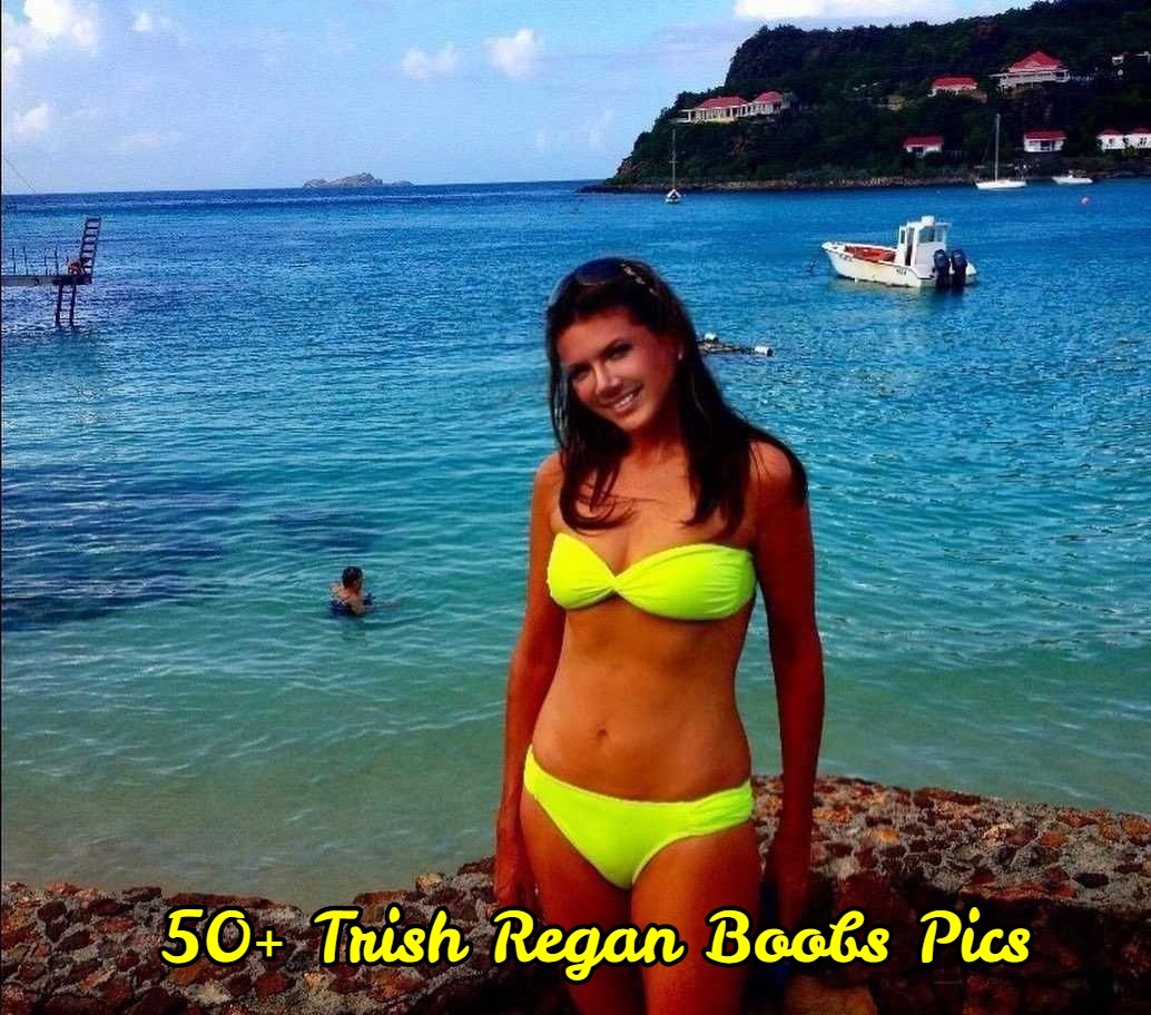 Trish Regan Boobs Pics