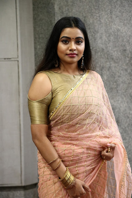 Telugu Actress Anisha Xavier In Saree 37