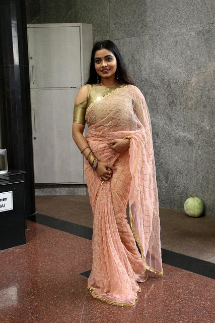 Telugu Actress Anisha Xavier In Saree 5