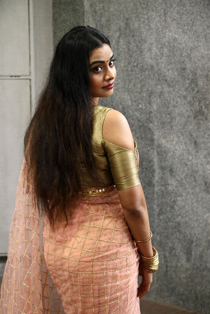 Telugu Actress Anisha Xavier In Saree 6