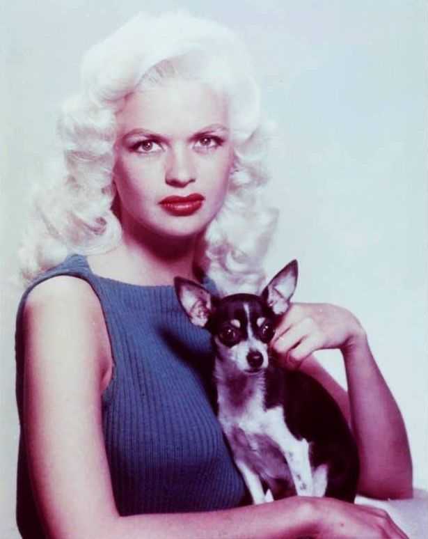 70+ Hot Pictures Of Jayne Mansfield Which Are Just Too Hot To Handle 5