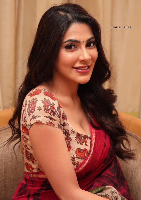 Nikki Tamboli Hot Telugu Actress Latest Pics 3