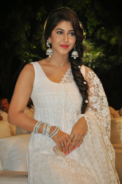 Hot Telugu Actress Sonarika Bhador Latest Pics 14