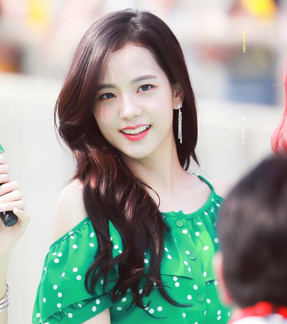 51 Hottest Jisoo Bikini Pictures Are Excessively Damn Engaging 40