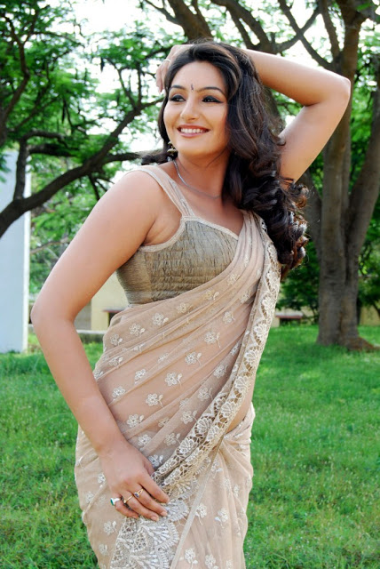 Ragini Dwivedi Hot Saree Photoshoot Pics 52