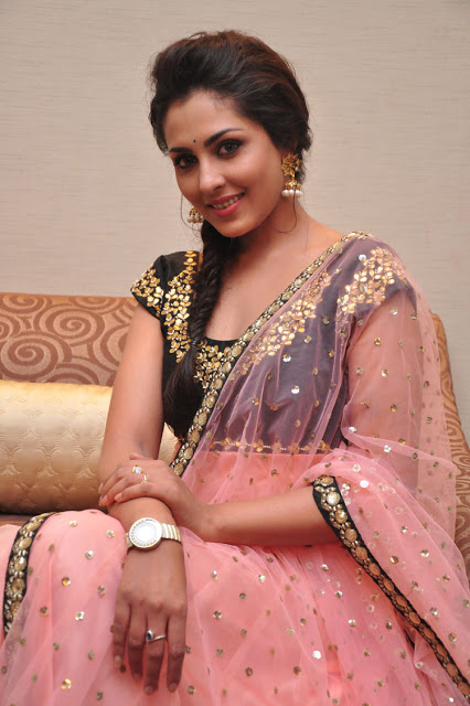 Telugu Actress Madhu Shalini Latest Pics In Pink Saree 82