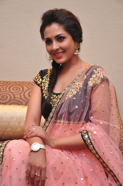 Telugu Actress Madhu Shalini Latest Pics In Pink Saree 97