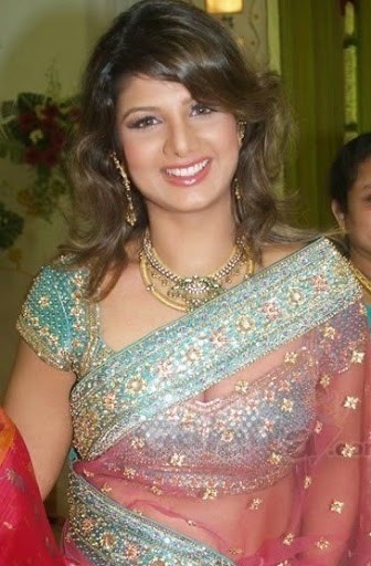 Tollywood Actress Rambha Photos In Pink Saree 8