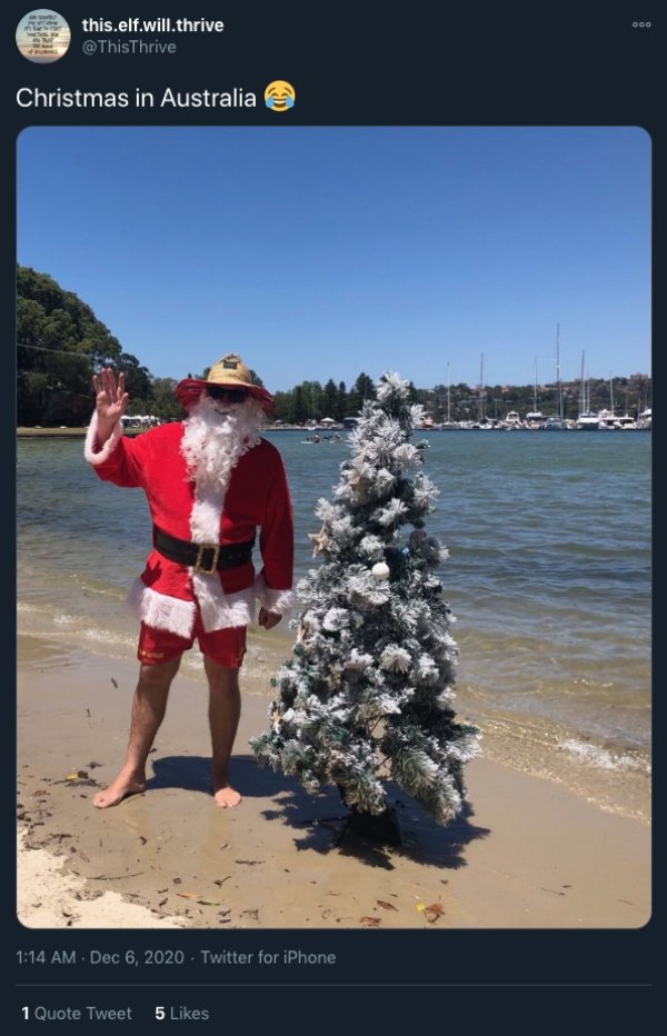 One single, violent sneeze and those tops are done for. Christmas in Australia is hot and moreover boozy (27 Photos) 74