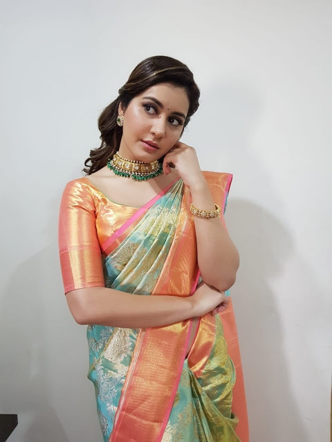 Actress Raashi Khanna Beautiful Pics In Saree 52