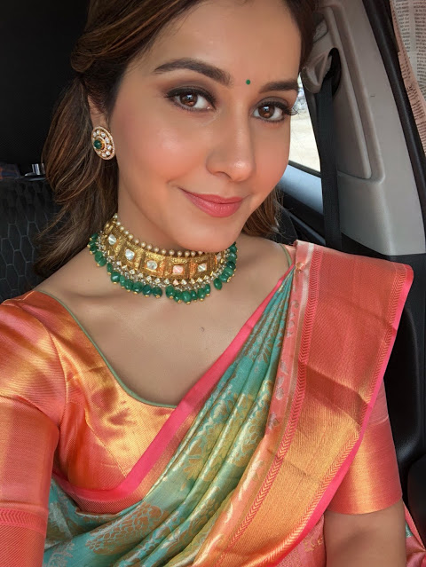 Actress Raashi Khanna Beautiful Pics In Saree 51