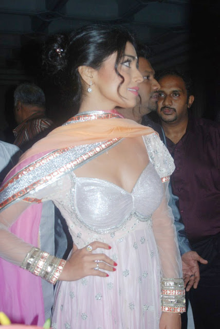 Actress Shriya Saran Latest Hot Pics 67