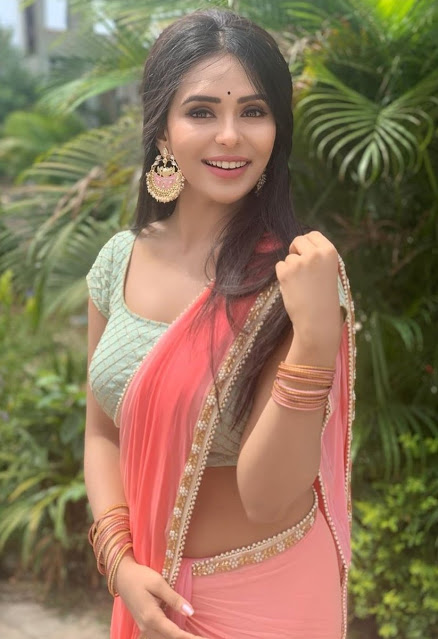 Bollywood Hot Actress Stunning Pics In Saree 3