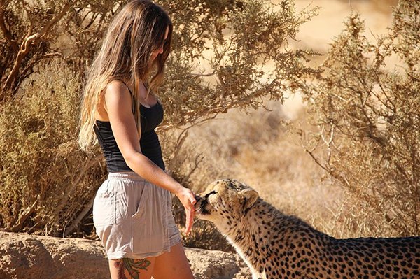 Meet Lisa, the cute wildlife worker who raised a pack of cheetahs (38 Photos & Video) 40