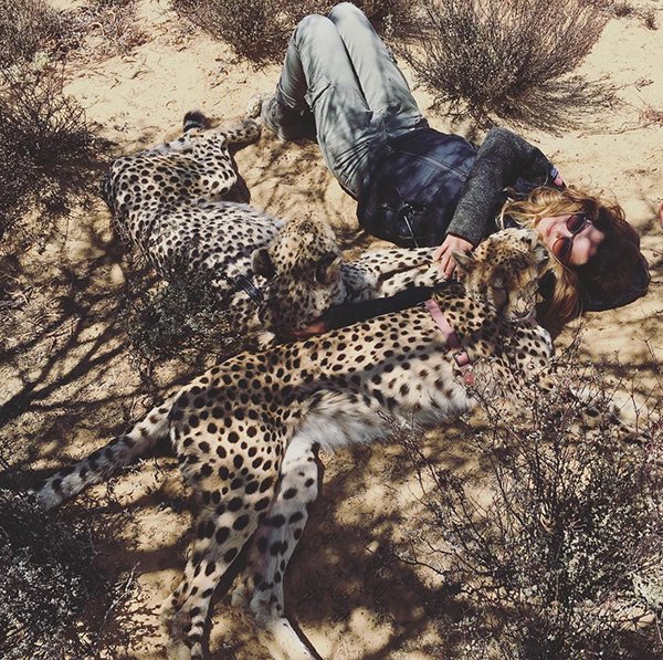 Meet Lisa, the cute wildlife worker who raised a pack of cheetahs (38 Photos & Video) 41