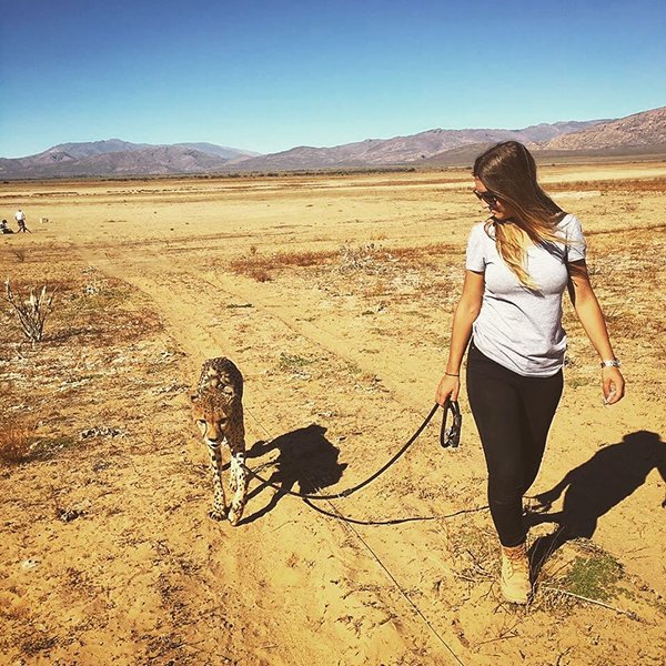Meet Lisa, the cute wildlife worker who raised a pack of cheetahs (38 Photos & Video) 99
