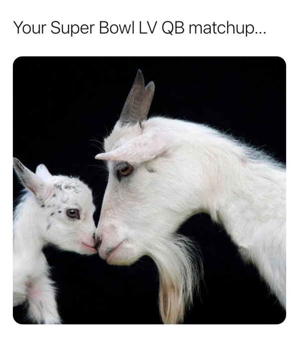 Cat Got Your Tongue : Mom roasted over ‘Pornographic’ Super Bowl halftime show tweet ….you ready for Super Bowl LV (28 Photos) 128