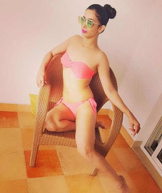 Heena Panchal Latest Photos In Bikini 4