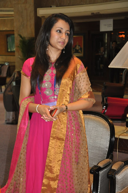 Actress Trisha New Cute Photos Stills in Churidar 13
