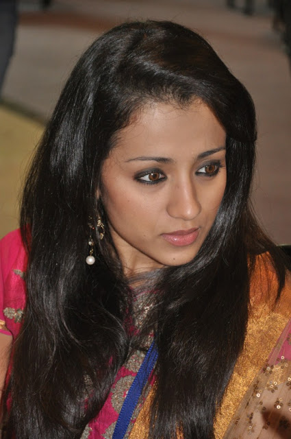 Actress Trisha New Cute Photos Stills in Churidar 14
