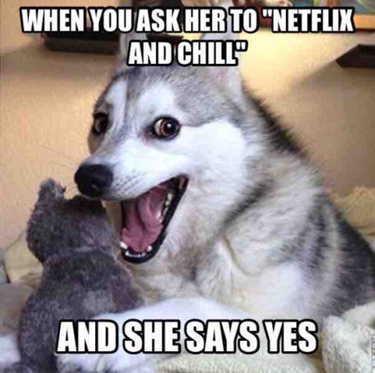 Hilarious Netflix And Chill Images (20 Photos) 2