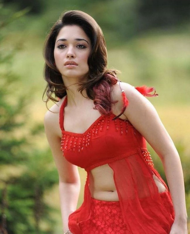 Sexy Tamannaah Knows How to Take a Photo (46 Photos) 272