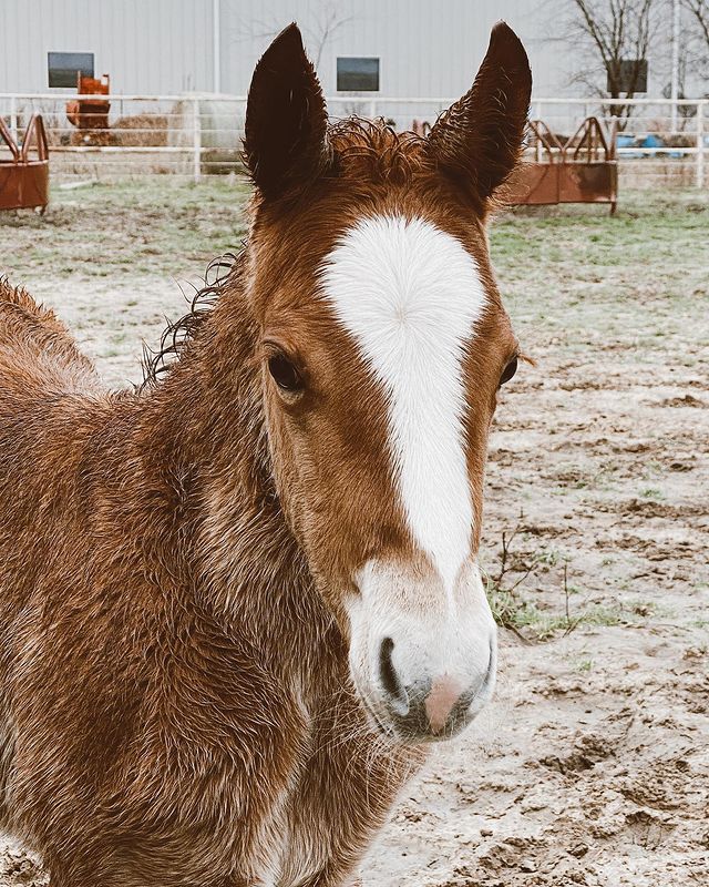 fallontaylor2 instagram photos 37