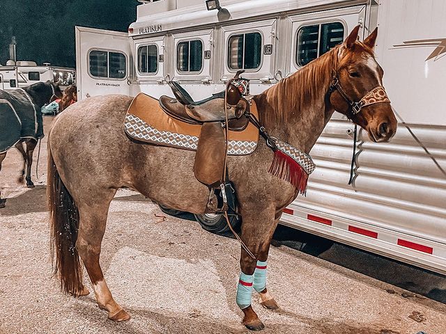 fallontaylor2 instagram photos 41