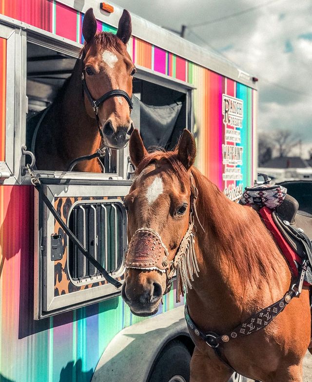 fallontaylor2 instagram photos 75