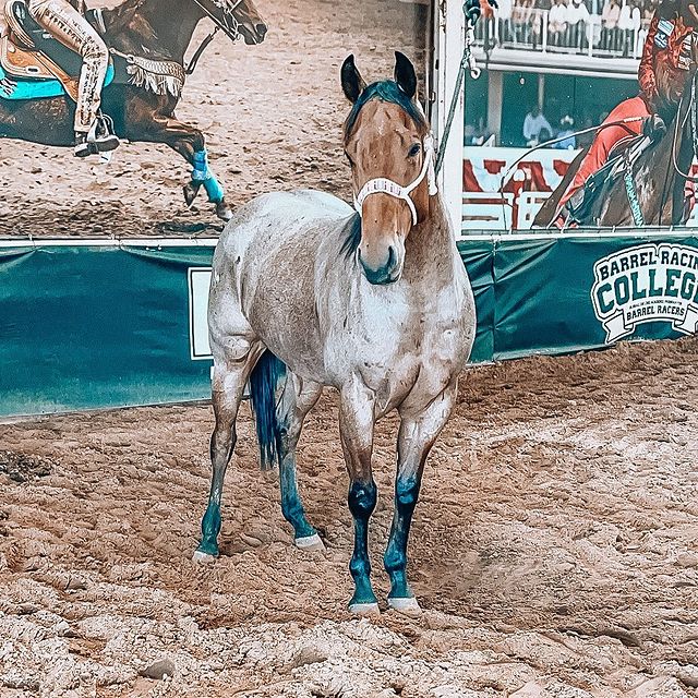 fallontaylor2 instagram photos 87