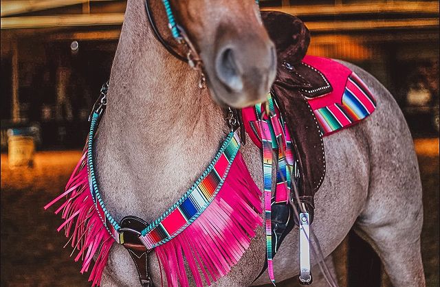 fallontaylor2 instagram photos 91