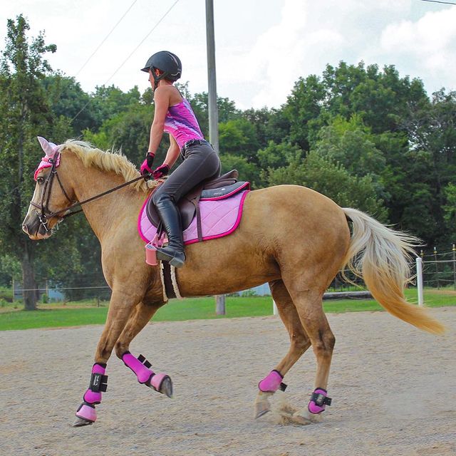 im_riding_miss_daisy instagram photos 135