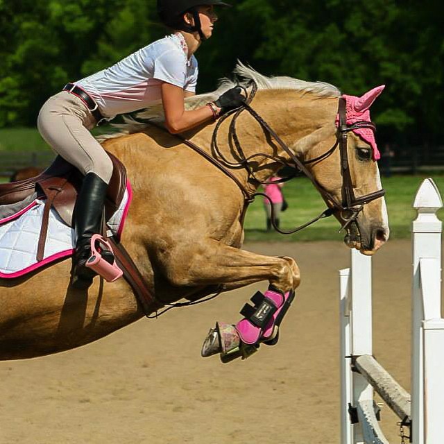 im_riding_miss_daisy instagram photos 64