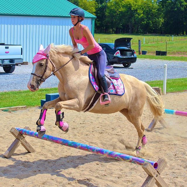 im_riding_miss_daisy instagram photos 68