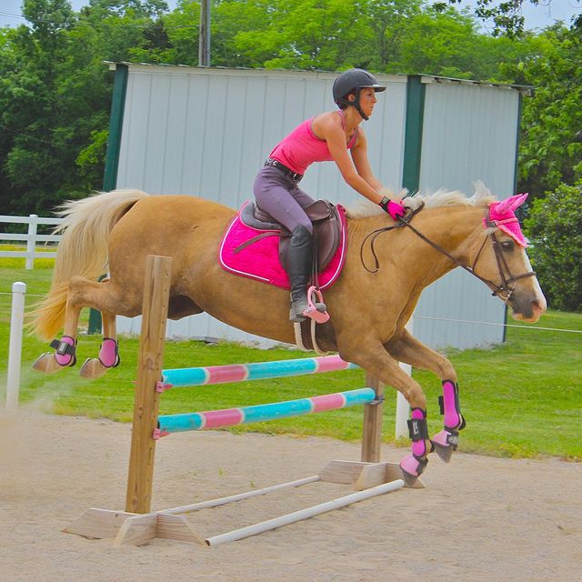 im_riding_miss_daisy instagram photos 83