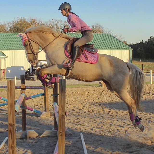 im_riding_miss_daisy instagram photos 99